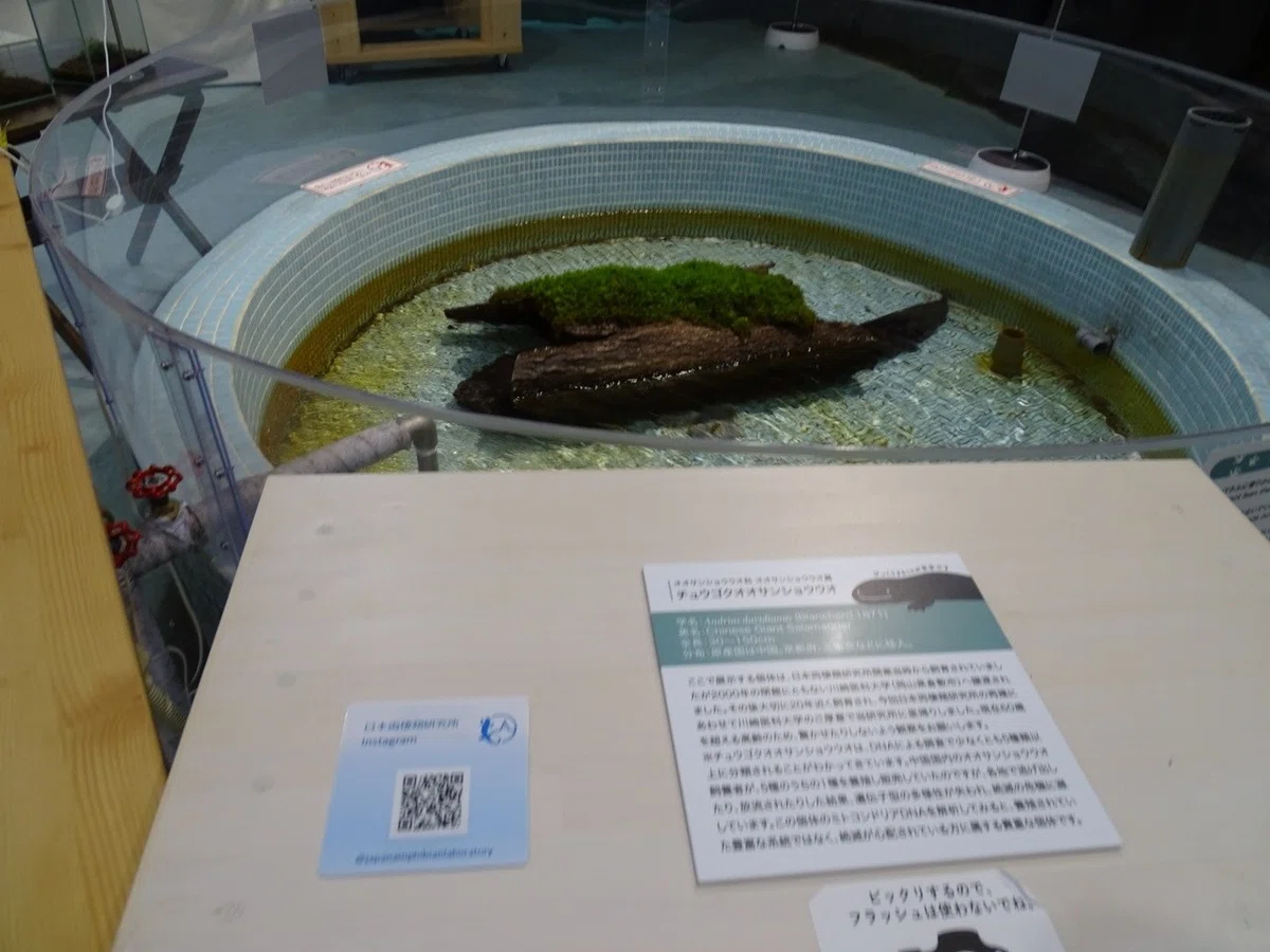 画像17