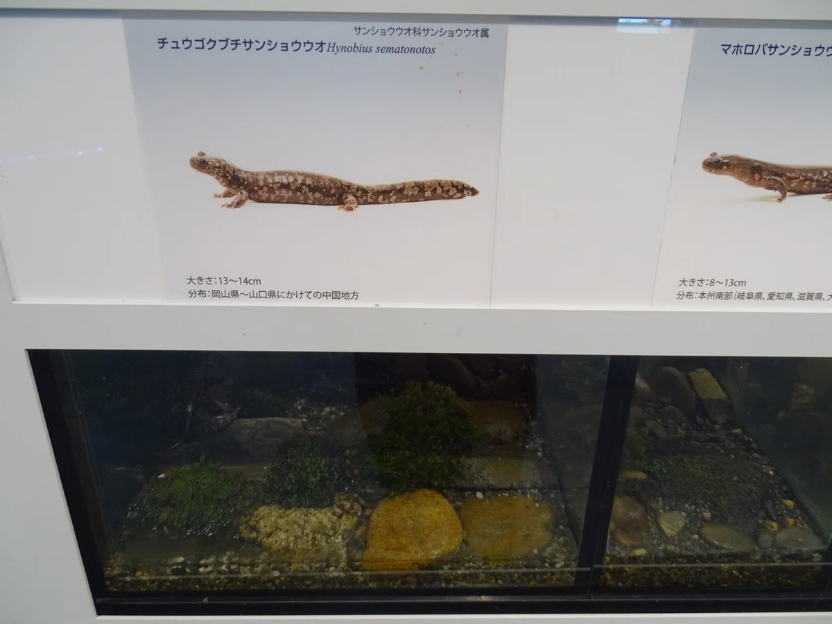 画像20