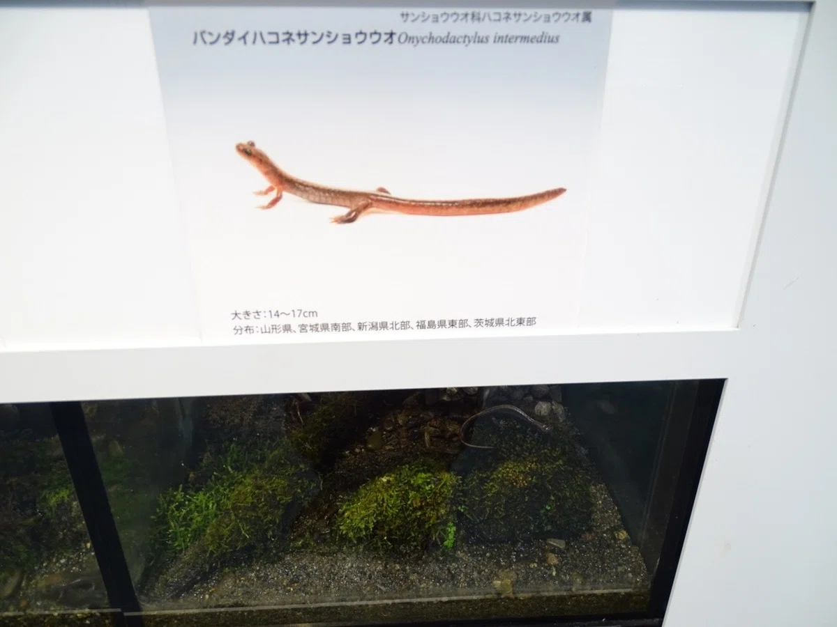 画像19