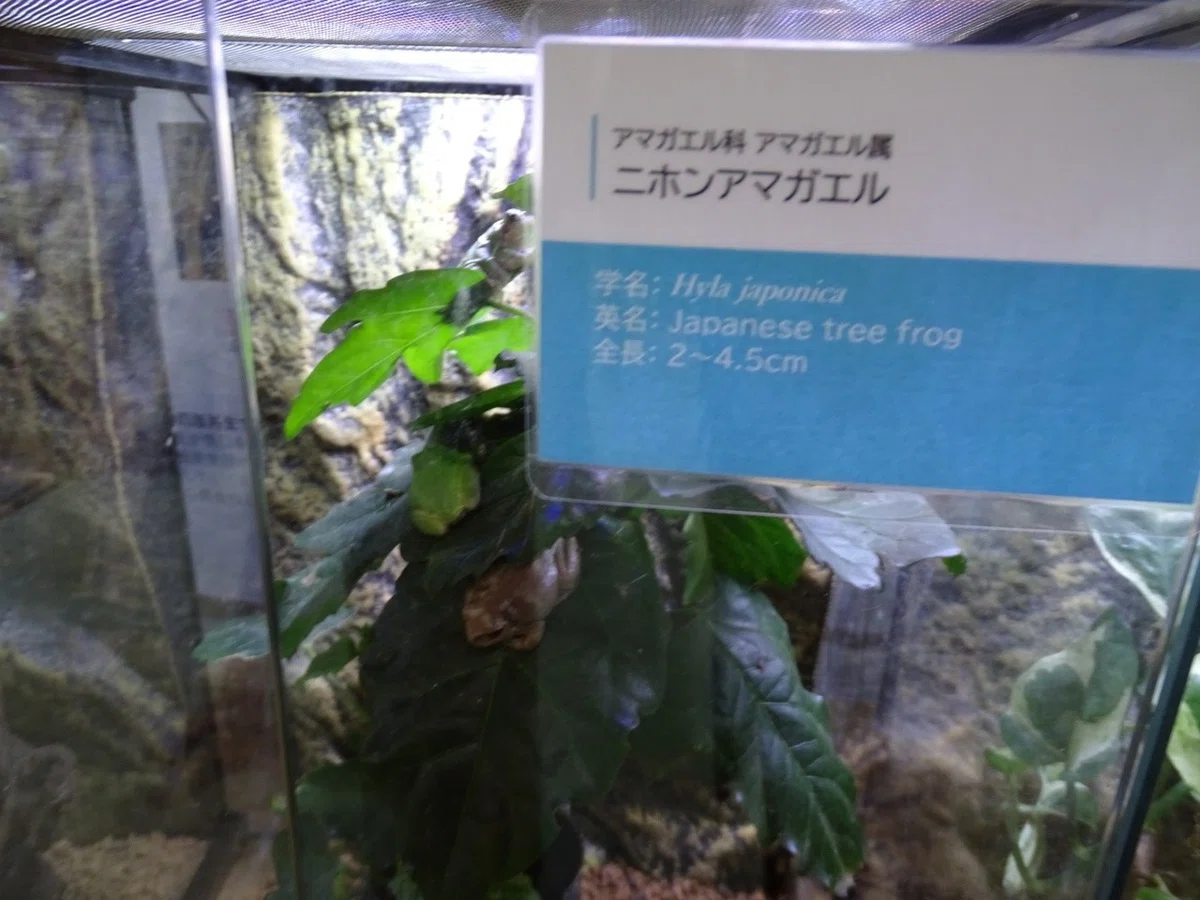 画像33