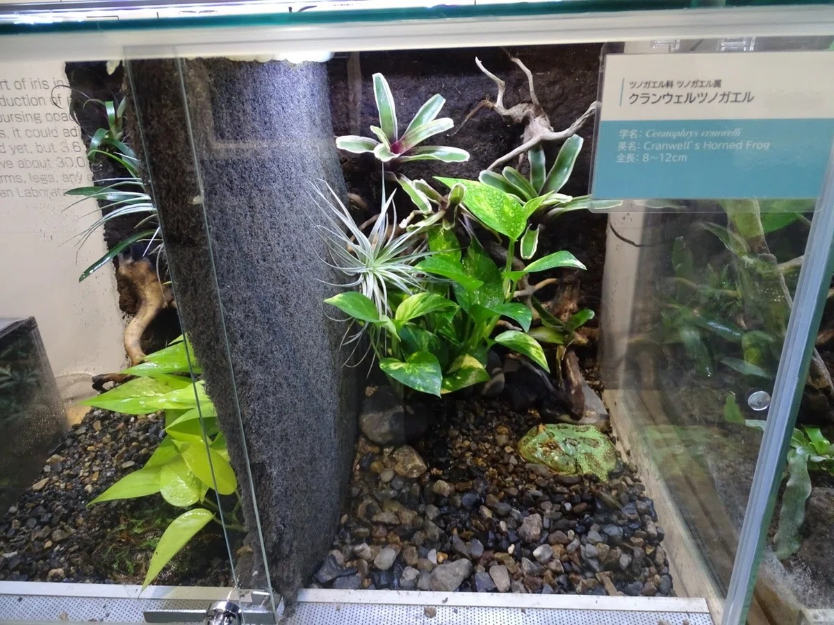 画像31
