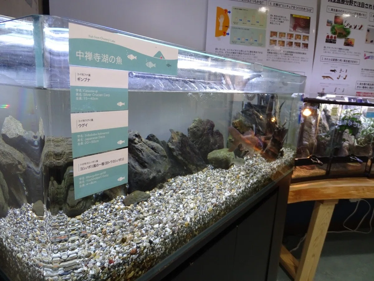 画像34