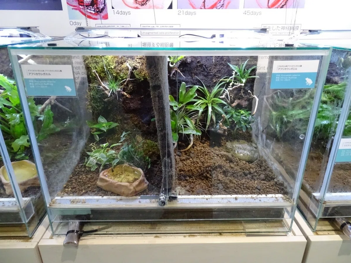 画像30