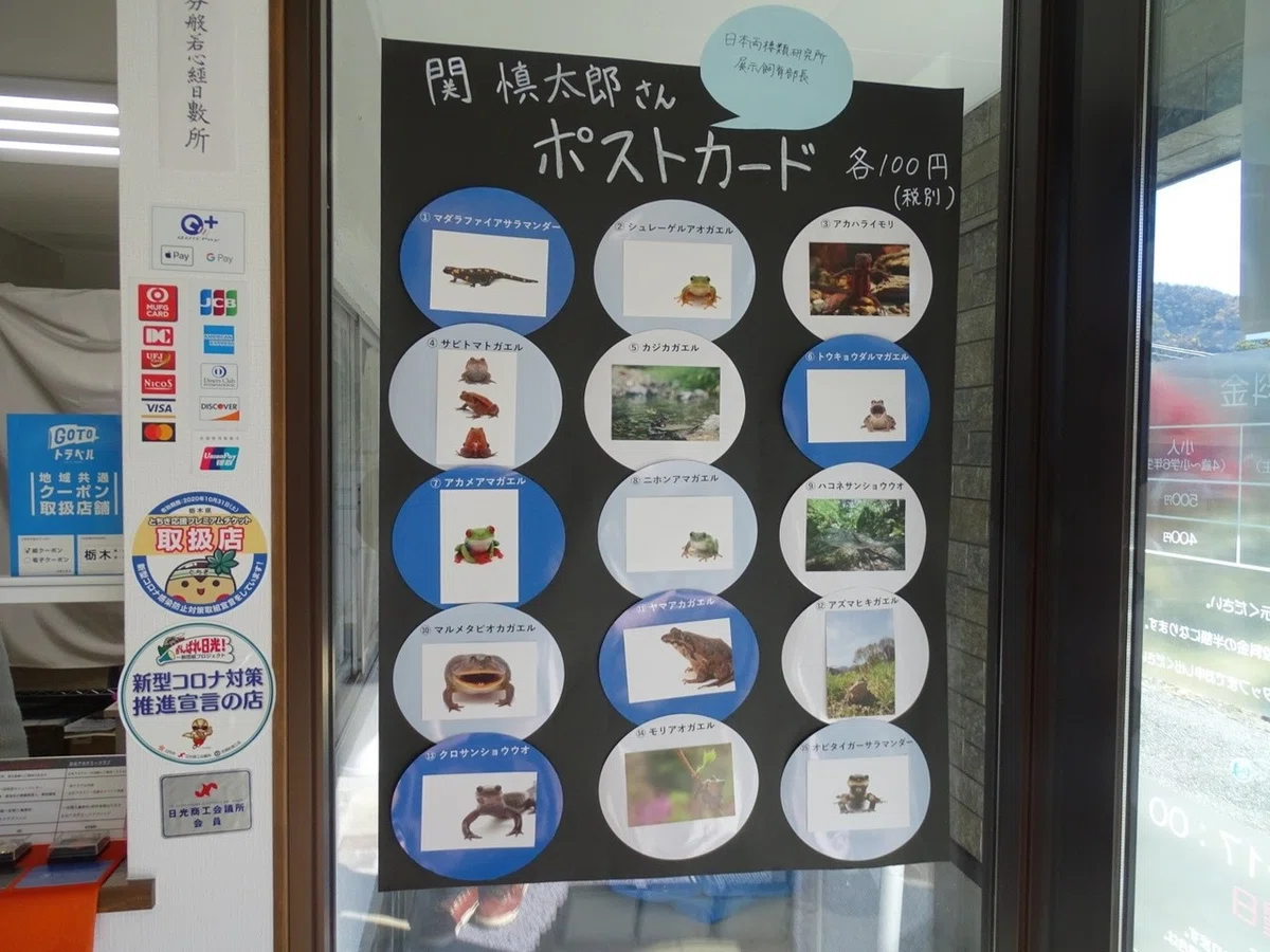 画像36
