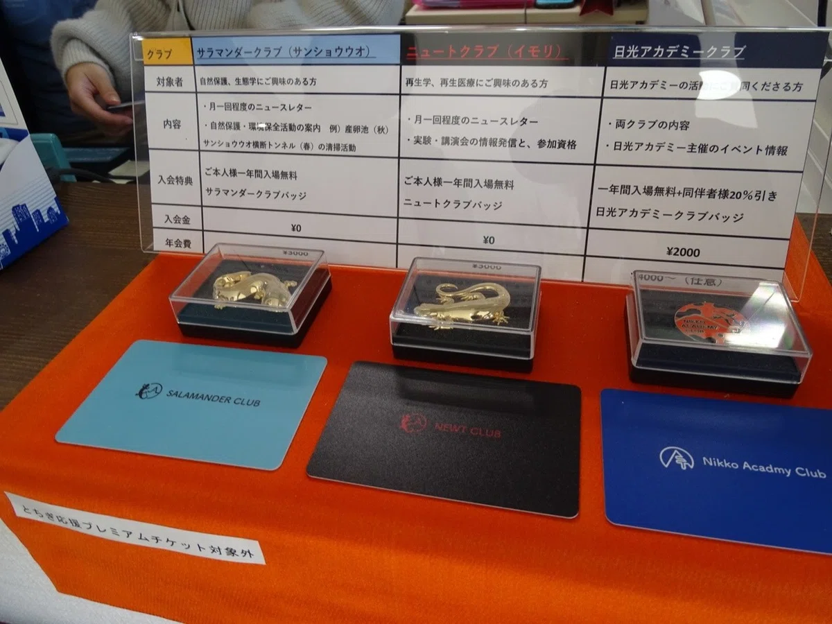 画像38