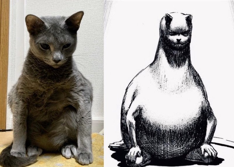 変な猫ちゃん写真 吉田輝和 Note 変な猫ちゃん写真 吉田輝和 Note