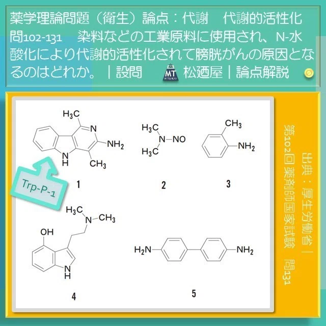 スライド9