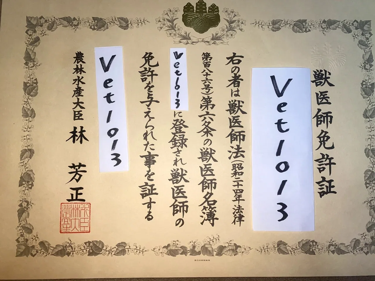 獣医師解説 犬にぶどうは危険 ぶどう中毒の怖さとは Vet1013 Note
