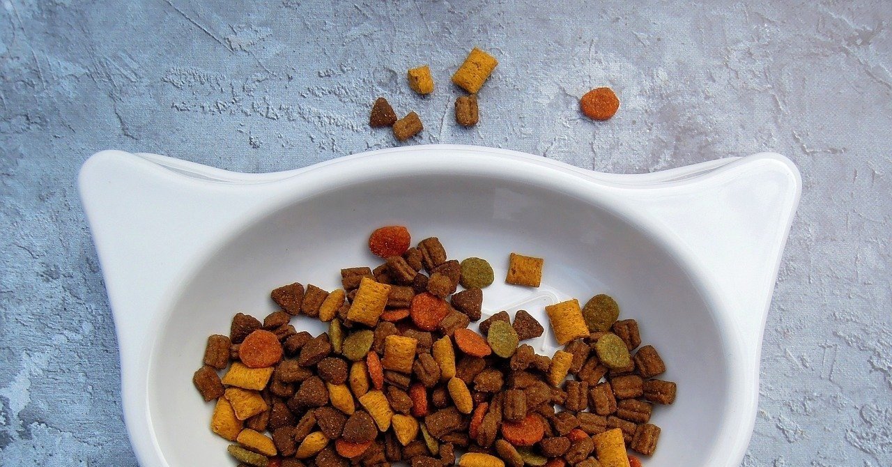 馬も犬もおかゆを食べる 手作りペットフードという世界 お粥研究家 鈴木かゆ Note 馬も犬もおかゆを食べる 手作りペットフードという世界 お粥研究家 鈴木かゆ Note