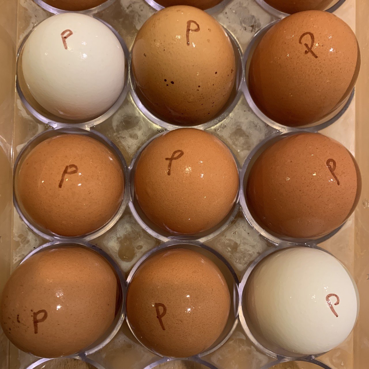 アメリカ や他の海外 の普通の卵を 安全に 卵かけご飯で食べる方法 Nyダディ Note