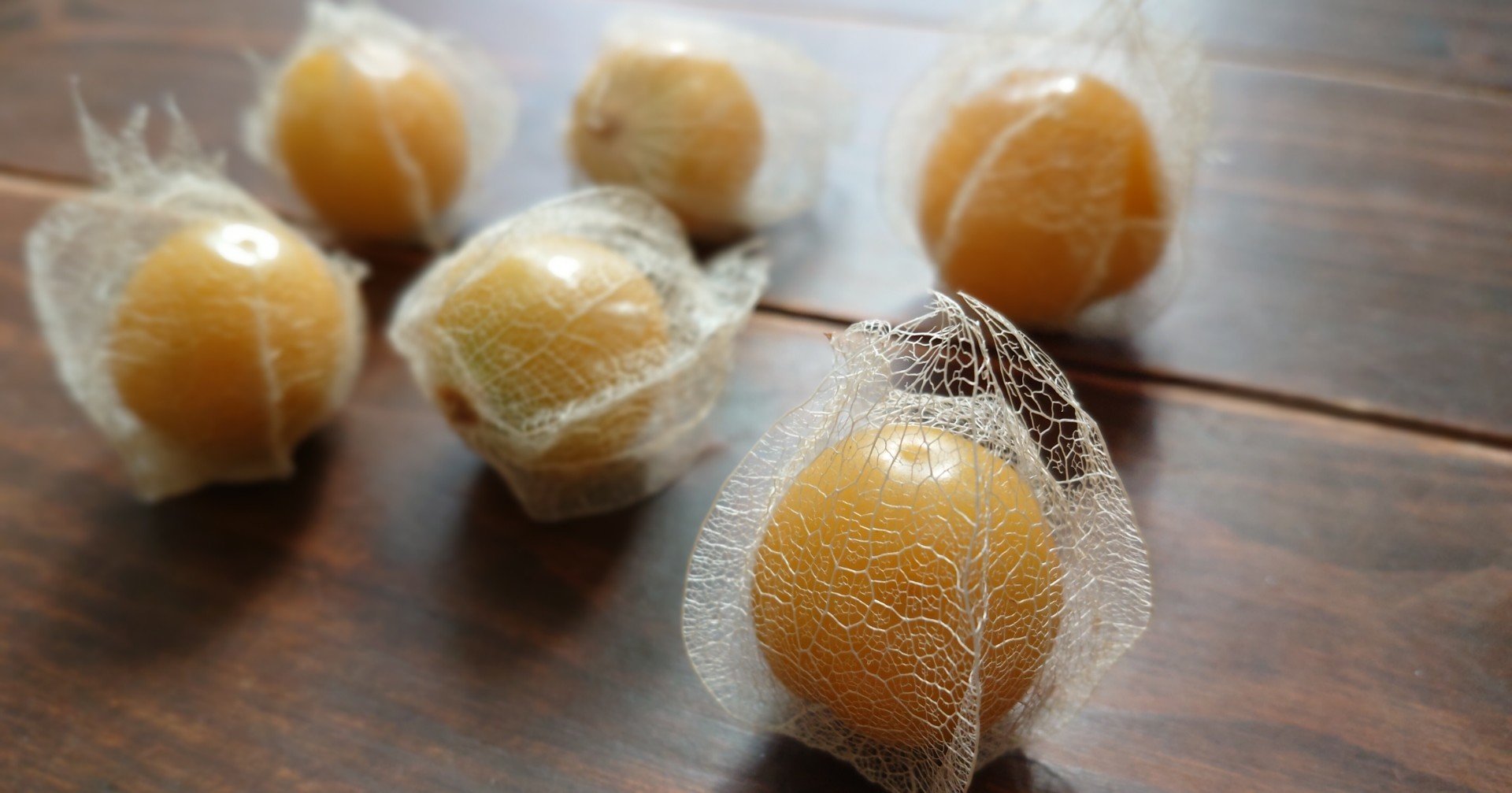 手仕事 ドライフラワー 透かしほおずき つぐみ Note 手仕事 ドライフラワー 透かしほおずき つぐみ Note