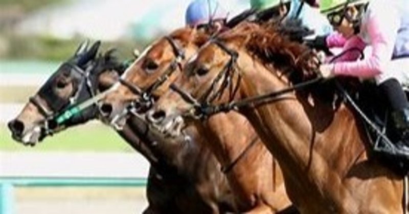 11月3日 大井競馬 無料予想 軸馬1頭 穴馬1頭 掲載 参考にしてみてくれ 通りすがりの社長 軸馬相馬眼 Note
