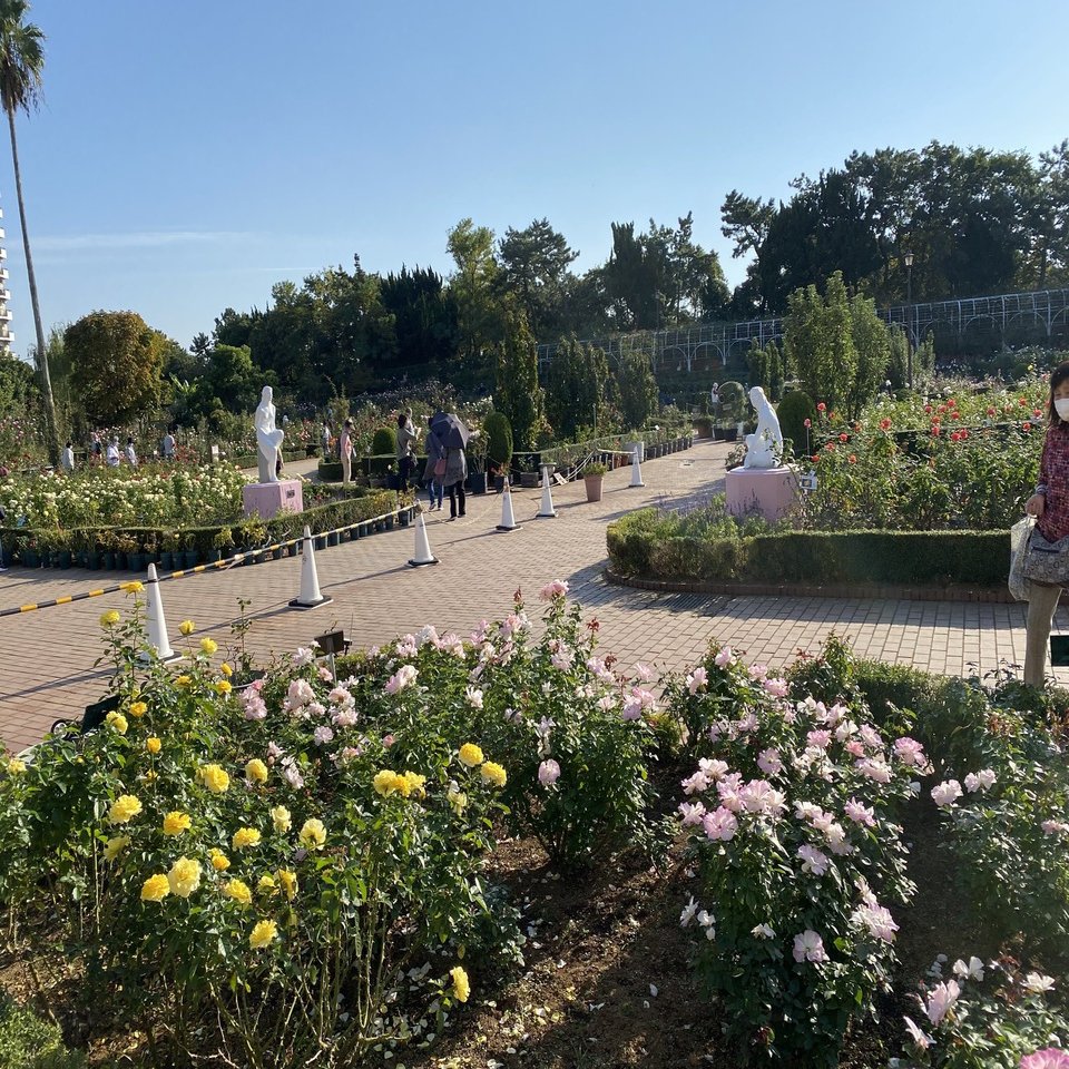 薔薇の名前 その1｜村木藤志郎