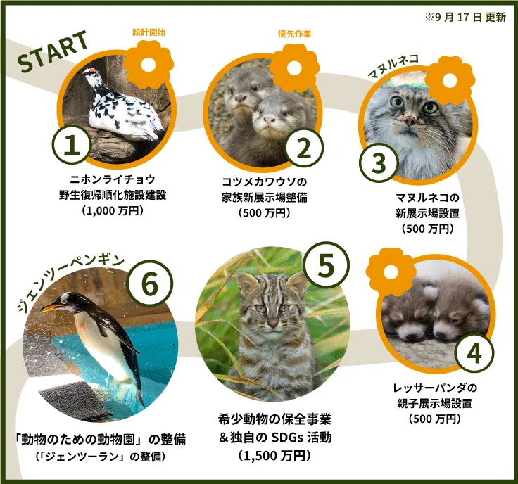 だれも知らない動物園　10巻セット付録付き だれも知らない動物園 10巻セット付録付き 【公式通販】