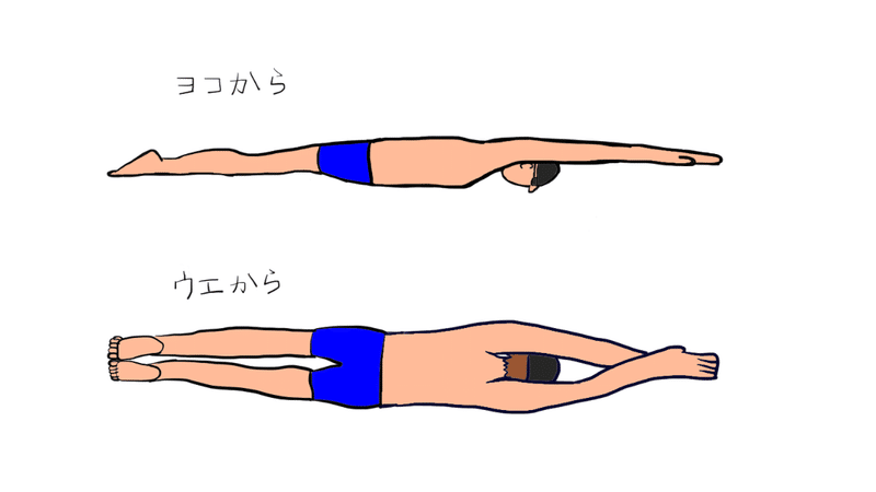 キレイに泳ごう クロールの手のかき方 ムサヒロ Note