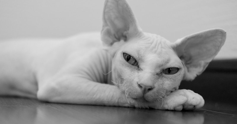 他人の不幸は蜜より甘い を英語で表現すると このコトバ 英語 で頻繁に使われた時期が最近ある ということを考えてみよう 長文読解は朝飯前 スグリンガル学校 note