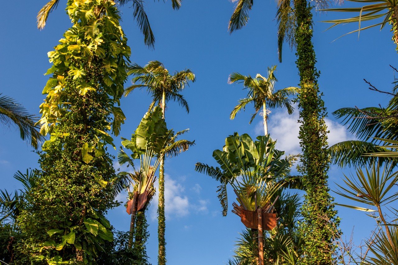師走の沖縄 東南植物楽園 Zenpaku Note 師走の沖縄 東南植物楽園 Zenpaku Note