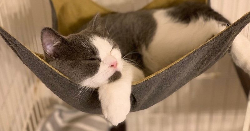 平成のファザコン娘 なぜ猫 Note