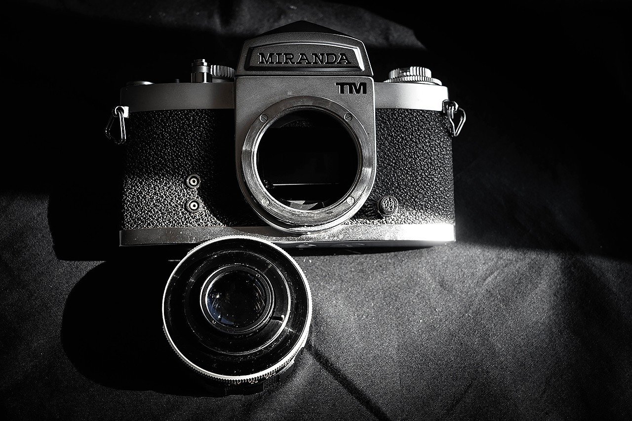 第97夜 長いものには巻かれろ｜いいじま もとお / Snap Photographer