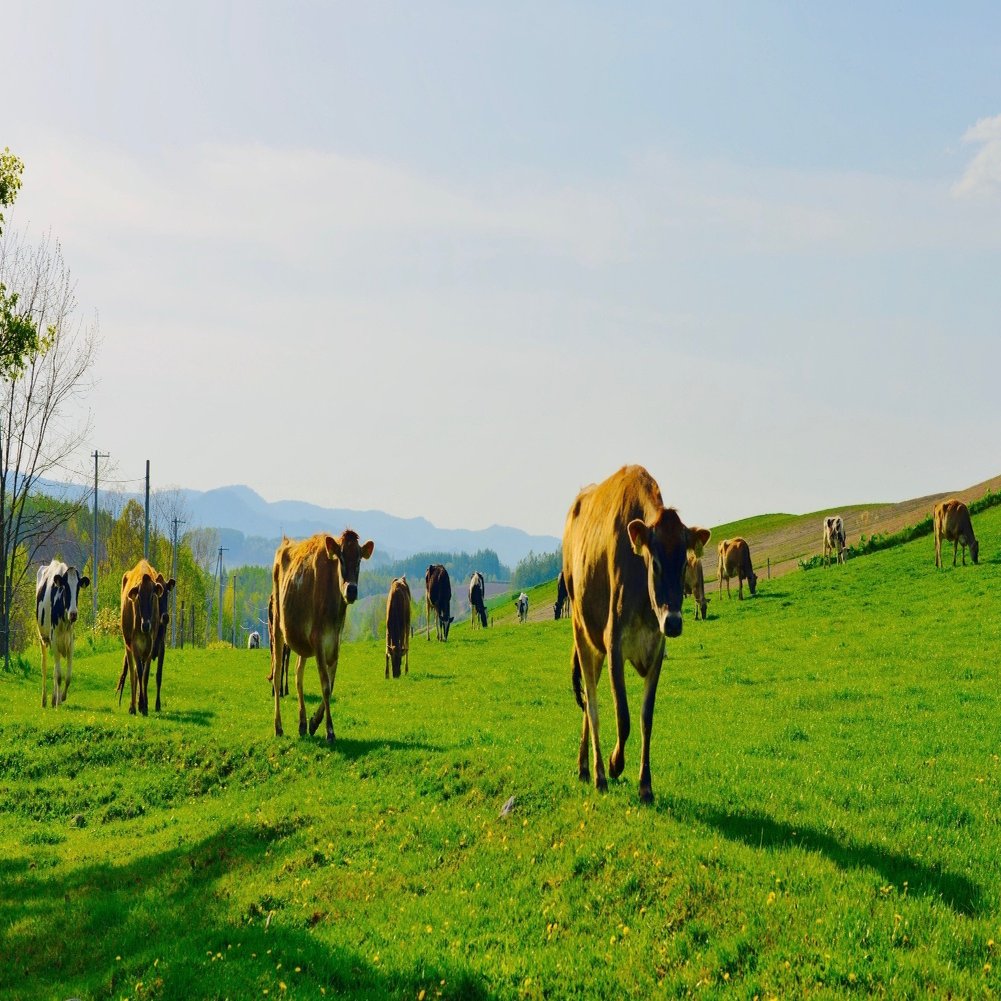 清里の父 ポール ラッシュの人生から信仰と使命感を考える すぴー Note