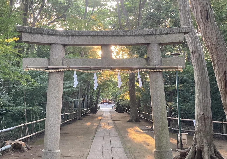 画像4