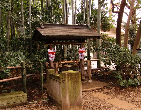 画像8