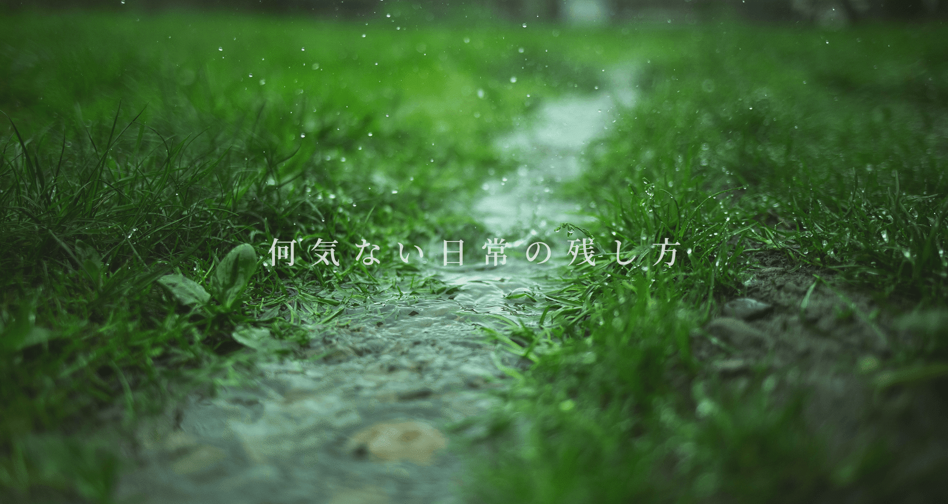 日常カメラサークル|何気ない日常の残し方
