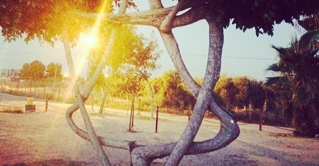 コミューンで暮らしてみたくて、イスラエルのキブツで働いてみた話｜伴