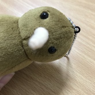 ぱかちゃん Note