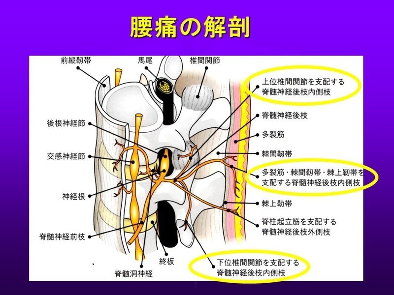 スライド9