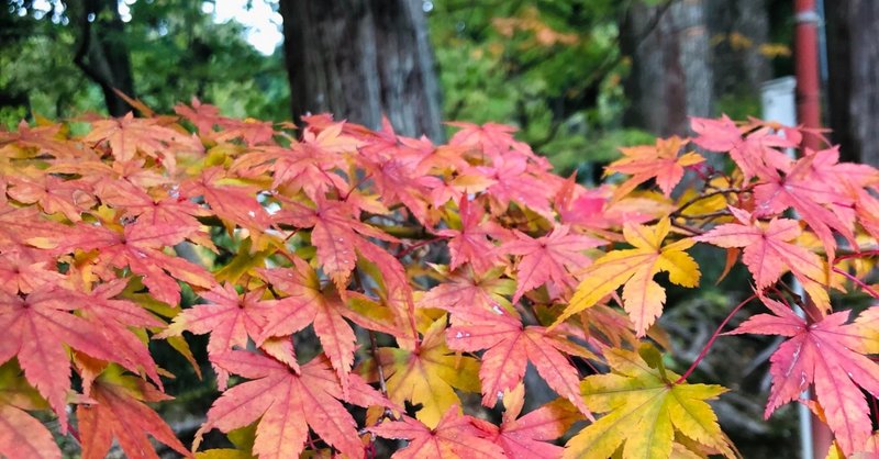 ここではないどこか の新着タグ記事一覧 Note つくる つながる とどける