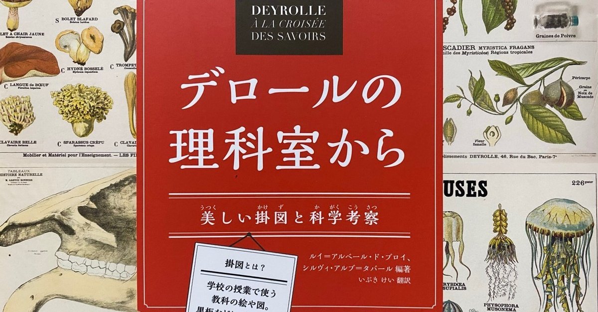 大特価!! デロールの理科室から／ルイ=アルベール・ド・ブロイ、シルヴィ 語学・辞書・学習参考書