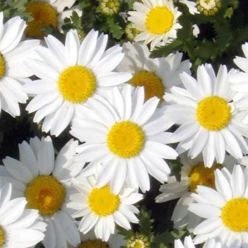 フェルデンクライス 身体訓練法」という本を読んでいます｜natsumi