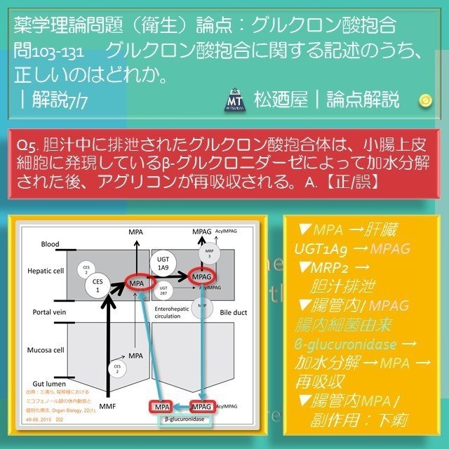 スライド10