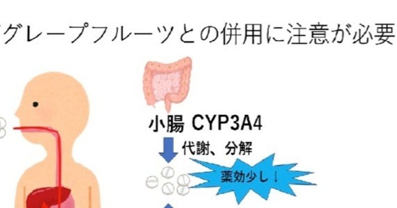問題です グレープフルーツと併用注意の薬は次のうちどれ 1 利尿薬 2 カルシウム拮抗薬 3 Ace阻害薬 のうと医療専門学校 Note 問題です グレープフルーツと併用注意の薬は次のうちどれ 1 利尿薬 2 カルシウム拮抗薬 3 Ace阻害薬 のうと医療専門学校 Note