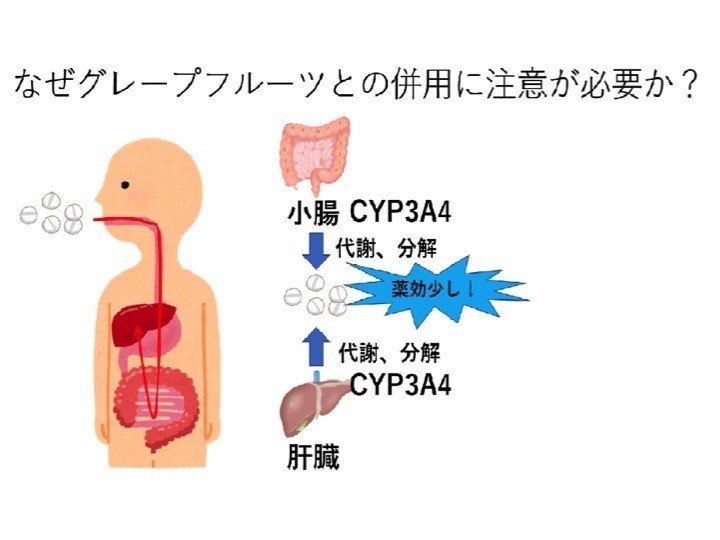 問題です グレープフルーツと併用注意の薬は次のうちどれ 1 利尿薬 2 カルシウム拮抗薬 3 Ace阻害薬 のうと医療専門学校 Note 問題です グレープフルーツと併用注意の薬は次のうちどれ 1 利尿薬 2 カルシウム拮抗薬 3 Ace阻害薬 のうと医療専門学校 Note