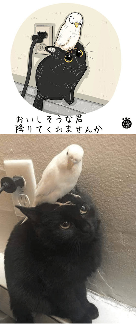 インターネット猫 1 イラスト猫 ノリノリ Note