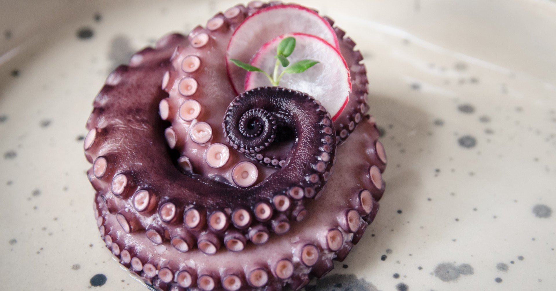 地中海のおへそマルタの伝統料理 タコ シチューをご家庭で味わってみませんか マルタっ子よりワンポットで出来ちゃうお手軽レシピご紹介します Amy Thepremier Cafe Note