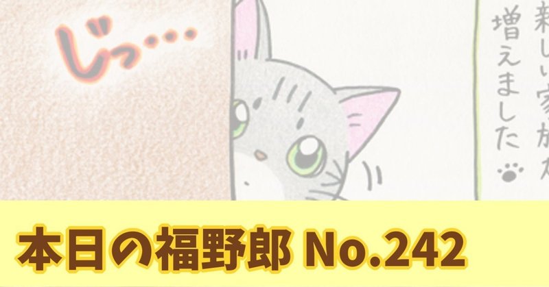 家族になろうよ 保護猫と信頼度ゼロからのスタート 福 Note 家族になろうよ 保護猫と信頼度ゼロからのスタート 福 Note