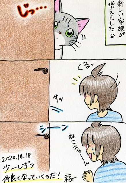 家族になろうよ 保護猫と信頼度ゼロからのスタート 福 Note 家族になろうよ 保護猫と信頼度ゼロからのスタート 福 Note