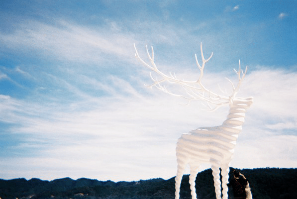 白い鹿に会ったときのこと 名和晃平さんの White Deer Rieko O Note