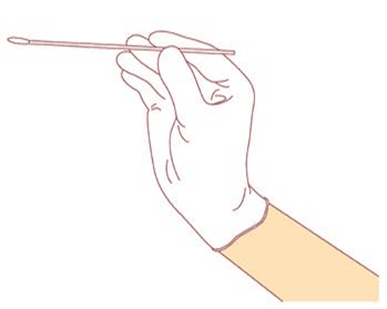 鼻咽頭培養の目的は何ですか?