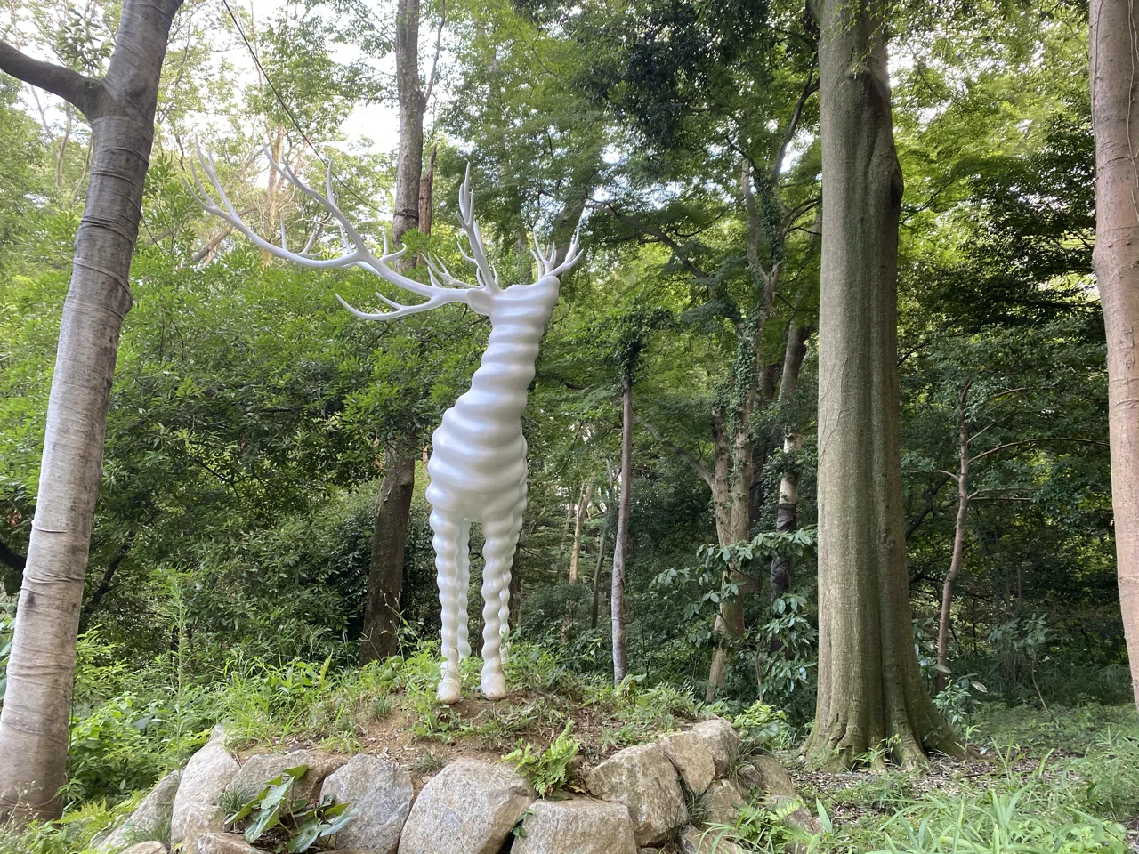 白い鹿に会ったときのこと。【名和晃平さんの「White Deer」】｜RIEKO.O
