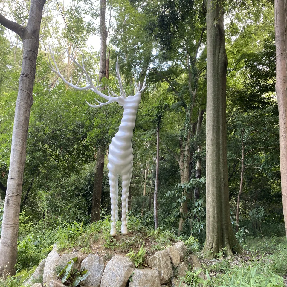 白い鹿に会ったときのこと。【名和晃平さんの「White Deer」】｜RIEKO.O