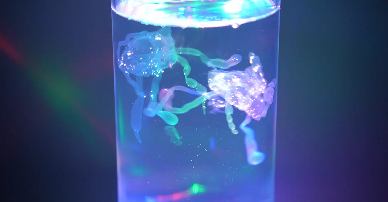人工クラゲを水槽で泳がせる｜Gelate（ジェレイト）
