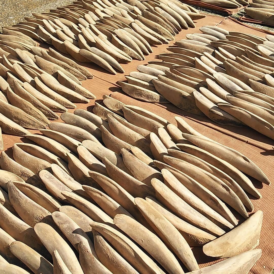 チャット。 私の神楽街の壁紙の背景についてどう思いますか? 最後のスライドはただのプレースホルダーなので、私はその栄光の中の全体像を見ることができます。爆笑。  あなたのも見せてください。 見たい😭✨, image size:1080x1080