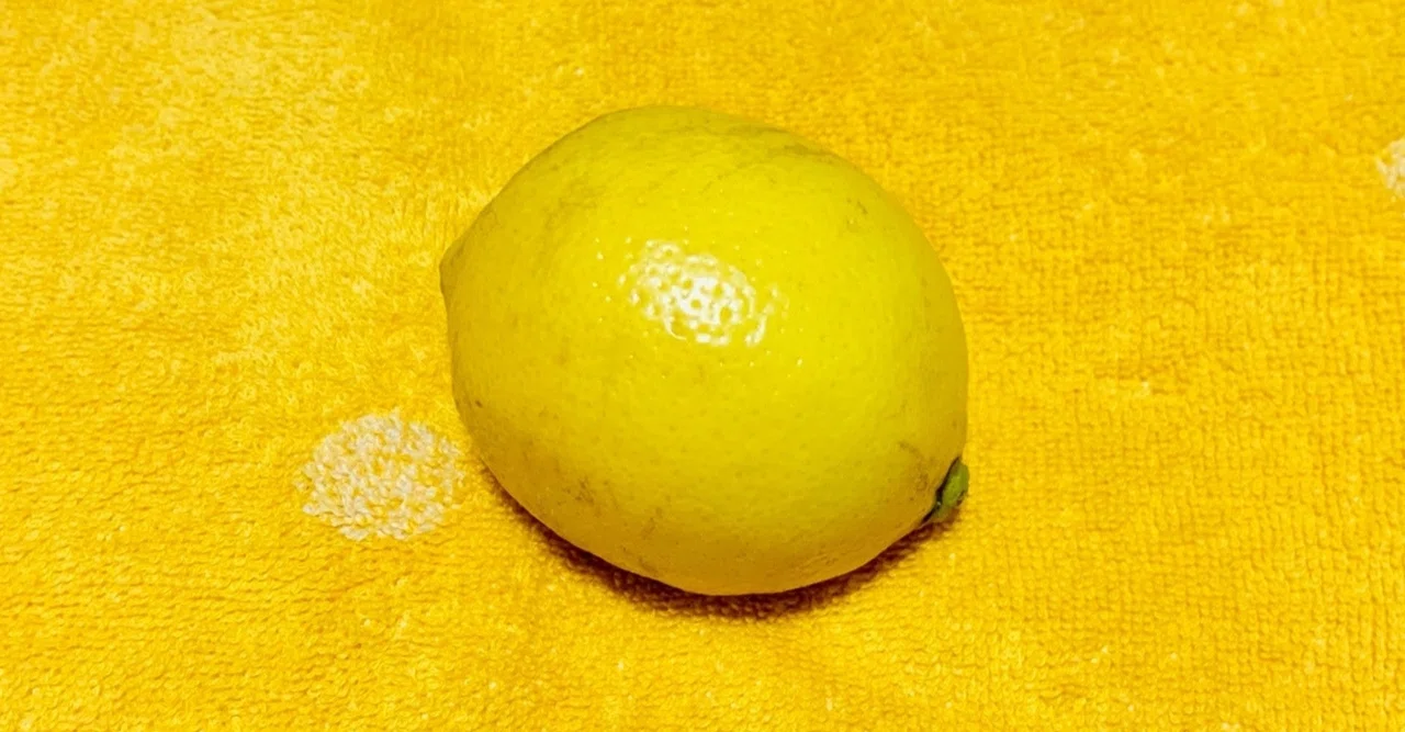 📖梶井基次郎『檸檬』を読む🍋｜水石鉄二（みずいし）
