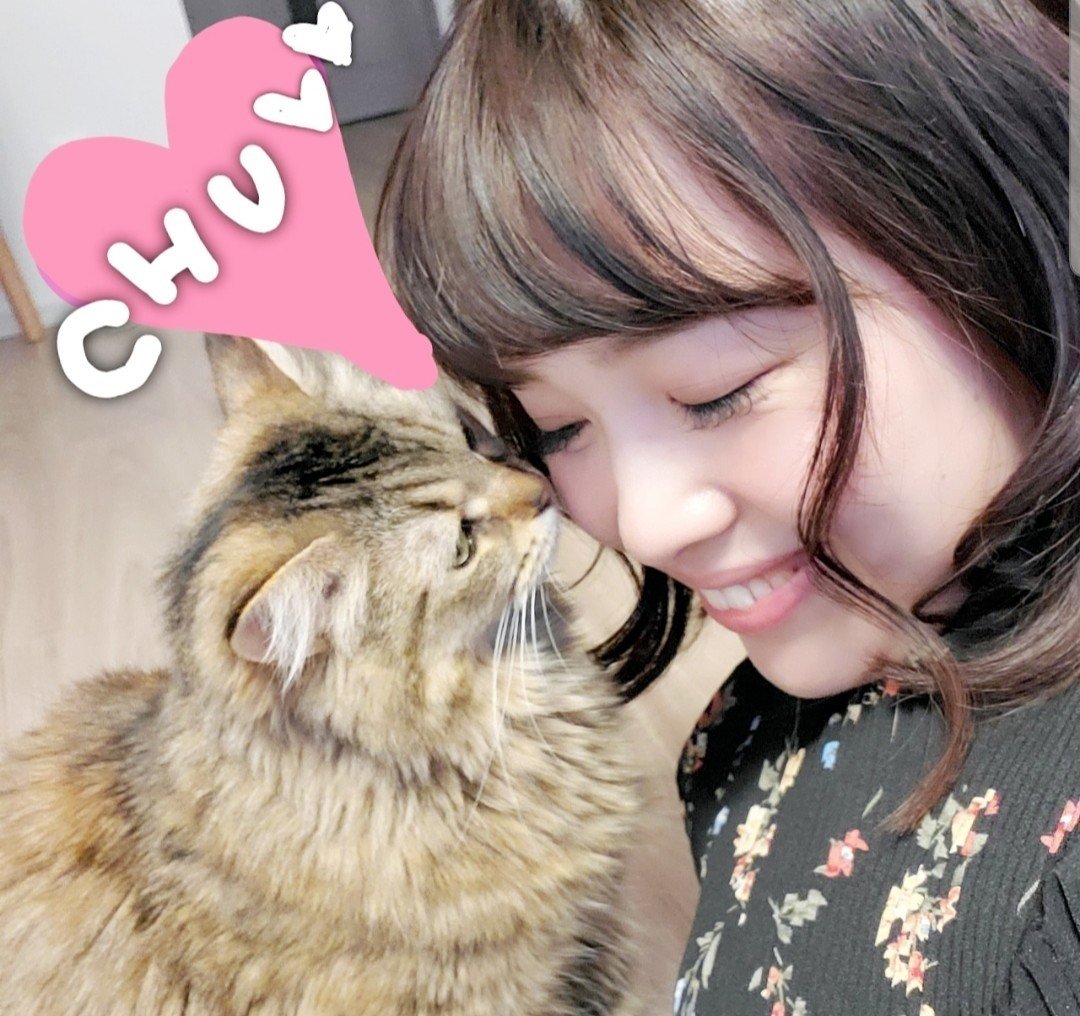 家族紹介 我が家のニャンズは面白い 西原愛香 Note 家族紹介 我が家のニャンズは面白い 西原愛香 Note