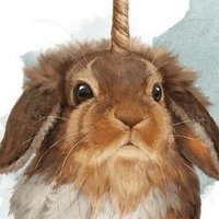 セオノ氏と星灯なのら氏 輝星ひなの 氏の件 Vtuber 5月23日追記 Almiraj Note