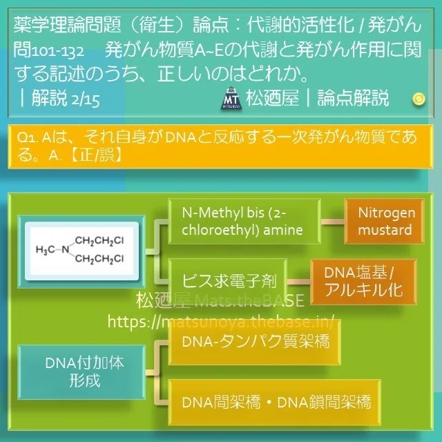 スライド7